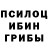 Псилоцибиновые грибы ЛСД Baktashov