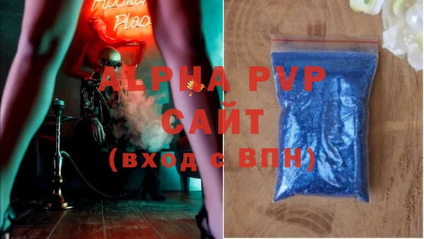спиды Михайлов