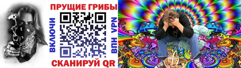 магазин    Сурск  blacksprut ONION  Псилоцибиновые грибы прущие грибы 