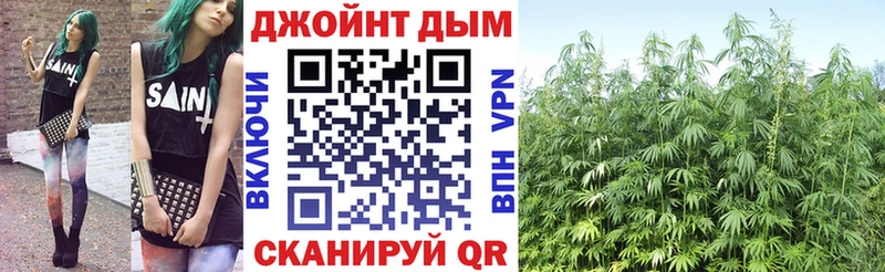 купить  цена  Сурск  Марихуана семена 